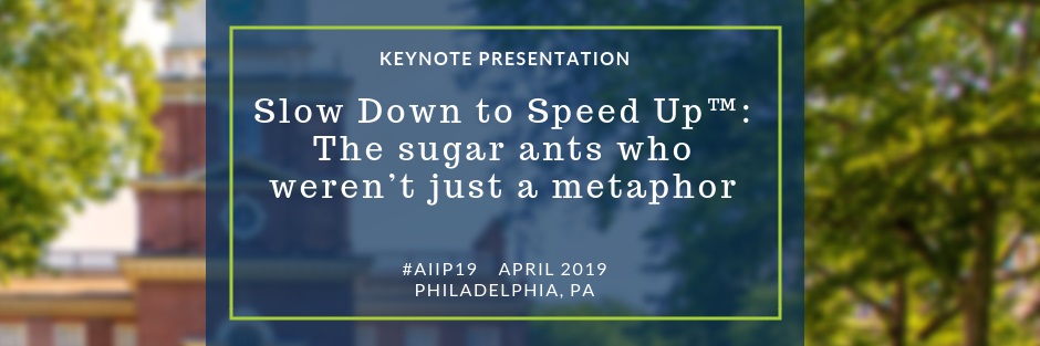 AIIP conference 2019 keynote presentation summary